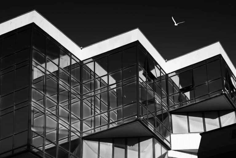 Teodora Ivanova - Black-and-white